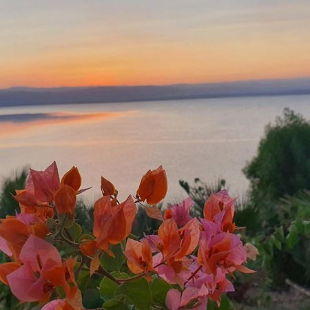 Comfy Stays Sea View Apartments At Deadsea Samarah Resort Sweimeh Exterior foto